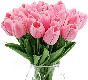 TULIPAN