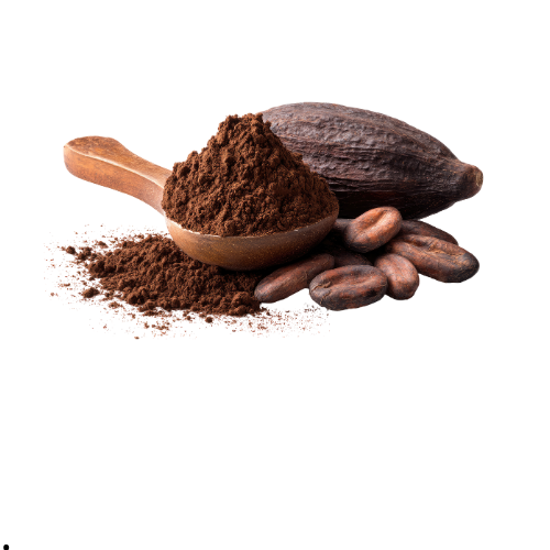 COCOA HERSHEY'S 100GR