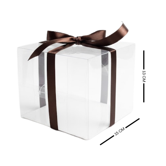 ACETATO INDIVIDUAL 15 X 13