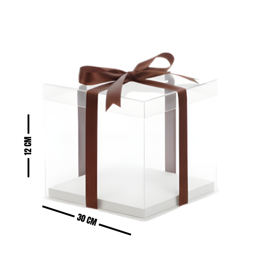CAJA ACETATO FX10 30X12