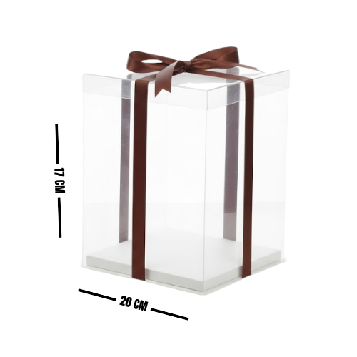 CAJA ACETATO 17X20 4-2