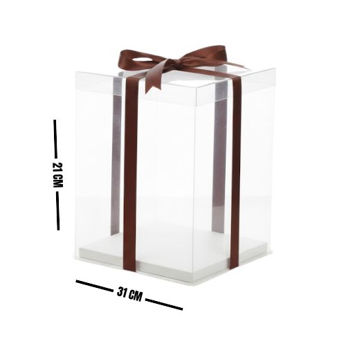 CAJA ACETATO 21.6X31 6-3